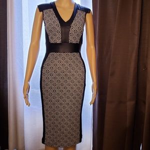 ❤️2 Ads/$20 - Form Fitting and Curvy Body Illusion Dress